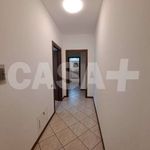 Rent 3 bedroom apartment of 94 m² in Varese