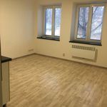 Rent 17 bedroom apartment in Opava