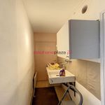 Rent 1 bedroom apartment in PONT-L\'ABBE