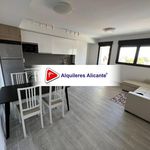 Alquilo 1 dormitorio apartamento de 58 m² en Alicante