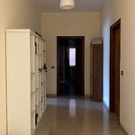 Rent 4 bedroom apartment of 100 m² in Castrocielo