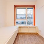 Rent 1 bedroom apartment of 13 m² in Berlin