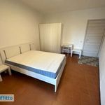 Rent 1 bedroom apartment of 41 m² in Pisa