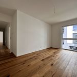 Rent 4 bedroom apartment of 114 m² in Leipzig