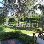 Rent 2 bedroom apartment of 40 m² in Frascati