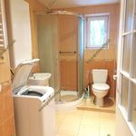 Rent 2 bedroom apartment of 76 m² in Petrovice I