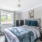 Rent 2 bedroom apartment in Camberley