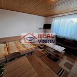 Rent 1 bedroom apartment of 45 m² in Plesná
