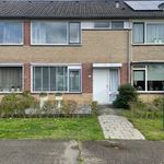 Fazantenveld, Cuijk - Amsterdam Apartments for Rent