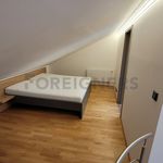 Rent 1 bedroom apartment of 53 m² in Brno