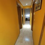 Rent 4 bedroom apartment in Valladolid