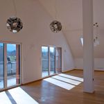 Rent 1 bedroom apartment of 175 m² in Salzburg