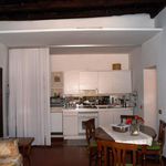 Rent 1 bedroom apartment of 80 m² in Roma