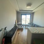 Rent 2 bedroom house of 78 m² in İstanbul