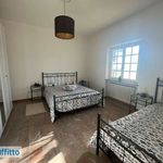 Rent 3 bedroom house of 100 m² in Castagneto Carducci