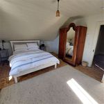 Rent 3 bedroom house in Cork