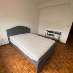 Rent 3 bedroom apartment in Bragança