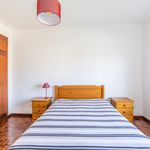 Rent 1 bedroom apartment of 54 m² in Alto da Fonte