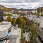 Rent 5 bedroom apartment of 120 m² in Karlovy Vary