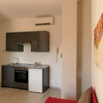 Rent 1 bedroom apartment of 30 m² in Turin