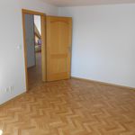 Rent 3 bedroom apartment of 67 m² in České Budějovice