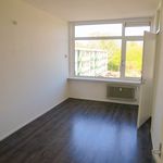 Huur 3 slaapkamer appartement van 70 m² in Arnhem