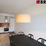 Rent 2 bedroom apartment of 61 m² in Brno