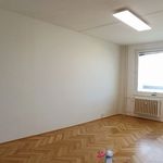 Rent 4 bedroom apartment of 95 m² in Mariánské Lázně