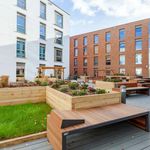 Rent 1 bedroom student apartment of 15 m² in Brighton