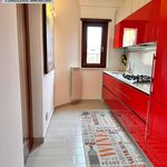 Rent 4 bedroom apartment of 105 m² in Frosinone