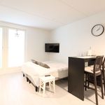 Rent 1 bedroom apartment of 30 m² in riihipellontie