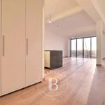Rent 2 bedroom apartment of 200 m² in Brussels