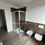 Affitto 3 camera appartamento di 85 m² in Trento