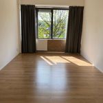 Rent a room of 34 m² in Breda