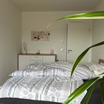 Miete 4 Schlafzimmer wohnung von 155 m² in Lindlar