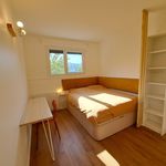 Rent a room of 9 m² in Champs-sur-Marne