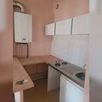Rent 1 bedroom apartment in Le Tréport