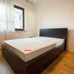 Rent 2 bedroom apartment of 78 m² in Kraków