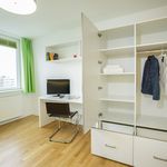 Miete 1 Schlafzimmer wohnung von 24 m² in Nürnberg