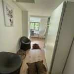 Rent a room of 130 m² in München