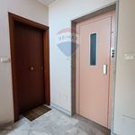 Rent 5 bedroom apartment of 110 m² in Giarre