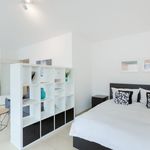 Rent 1 bedroom apartment of 35 m² in Leverkusen