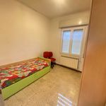 Affitto 4 camera appartamento di 70 m² in Cortemaggiore