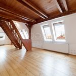 Rent 1 bedroom apartment of 81 m² in Plzeň