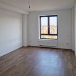 Rent 2 bedroom apartment of 80 m² in Bonn