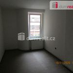 Rent 3 bedroom apartment of 63 m² in Děčín