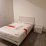 Rent 4 bedroom apartment of 113 m² in Modena