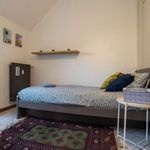 Rent a room of 150 m² in Milano