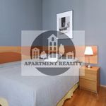 Rent 1 bedroom apartment of 35 m² in Sázavka