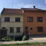 Rent 1 bedroom apartment of 28 m² in Brno